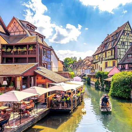 Appartement Avec Terrasse Entre Vignes, Balades, Alsace ゲブビレル エクステリア 写真