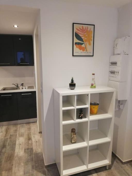 Appartement Avec Terrasse Entre Vignes, Balades, Alsace ゲブビレル エクステリア 写真