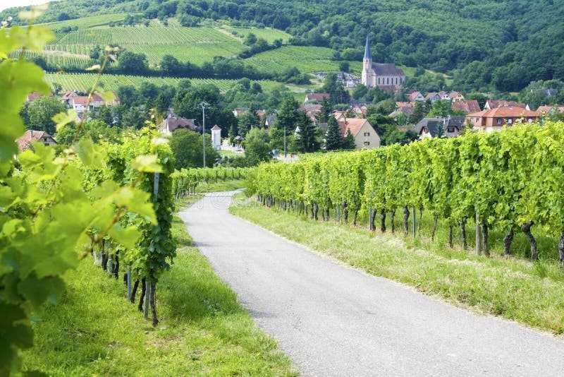 Appartement Avec Terrasse Entre Vignes, Balades, Alsace ゲブビレル エクステリア 写真