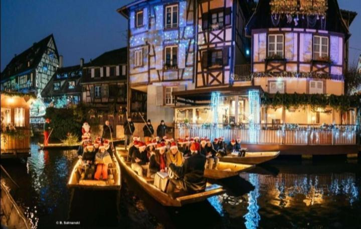 Appartement Avec Terrasse Entre Vignes, Balades, Alsace ゲブビレル エクステリア 写真